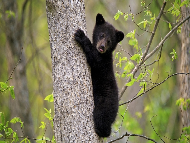 济宁生殖中心试管（试管婴儿洗涤）